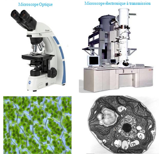 Tout savoir sur les microscopes électroniques à balayage